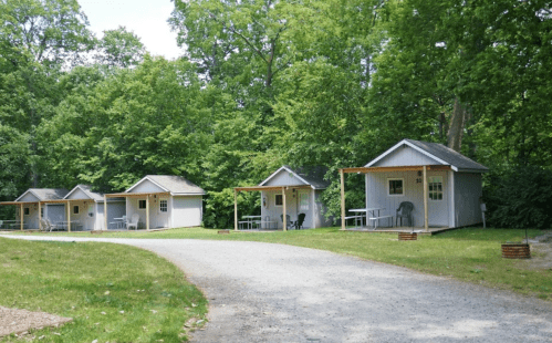 Four small cabins with porches line a gravel path, surrounded by lush green trees and grass.