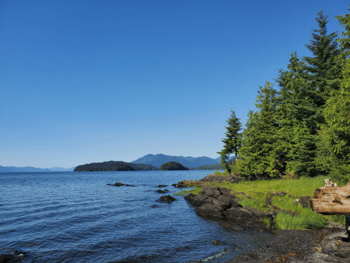 A serene coastal scene with calm waters, rocky shore, and lush green trees under a clear blue sky.