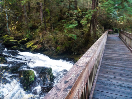 A wooden bridge over a rushing stream, surrounded by lush green trees and mossy rocks.