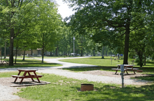 A sunny park scene with picnic tables, green trees, and a winding path in a grassy area.
