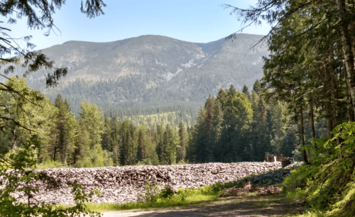 Scenic view of mountains in the background, with a rocky barrier and lush green trees in the foreground.