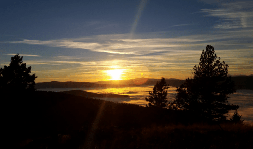 A stunning sunrise over misty mountains, with silhouetted trees in the foreground and colorful clouds in the sky.