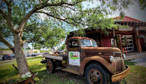 An old rusty truck parked under a tree near a rustic building with a sign, surrounded by greenery.