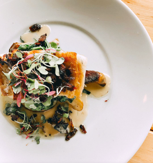 A beautifully plated dish featuring fish, greens, and microgreens drizzled with a savory sauce on a white plate.