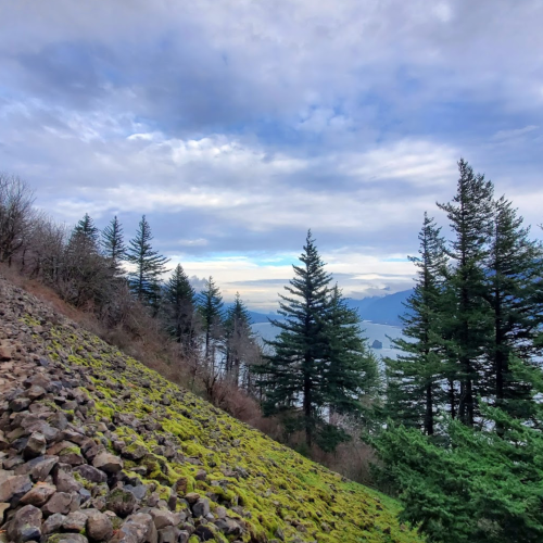 A scenic view of a rocky hillside with green moss and tall trees, under a cloudy sky near a body of water.