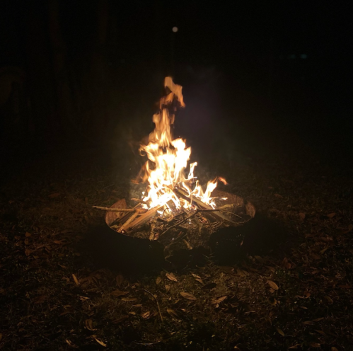 A bright campfire burns in a dark outdoor setting, surrounded by scattered leaves.