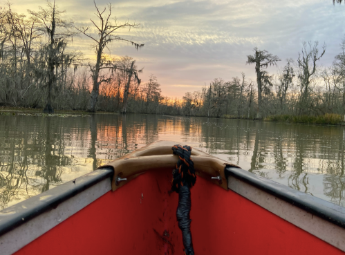 View from a canoe on calm water, surrounded by trees at sunset with vibrant orange and purple hues in the sky.