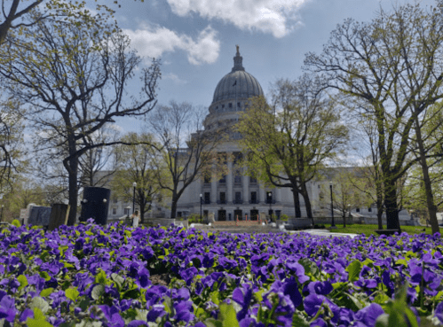 A view of a grand building with a dome, surrounded by blooming purple flowers and trees under a blue sky.