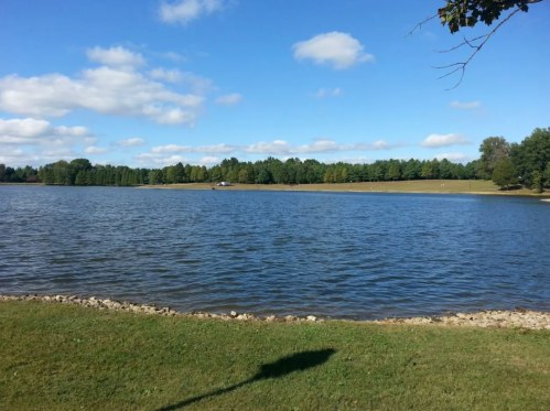 A serene lake surrounded by green trees and a clear blue sky, with gentle waves lapping at the shore.