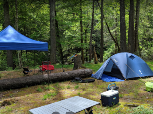A blue tent and canopy set up in a forested campsite with a log and cooler nearby.