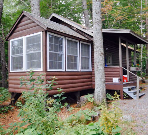 A cozy brown cabin nestled among trees, featuring large windows and a small porch with steps.