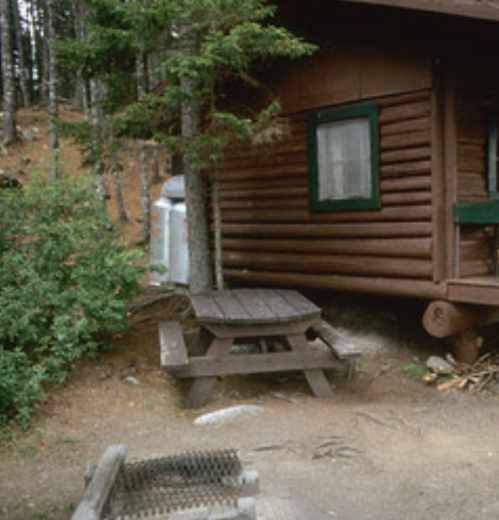 A rustic wooden cabin surrounded by trees, with a picnic table in front and a small window visible.