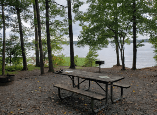 A picnic table by a calm lake, surrounded by trees and a gravel area, with a grill nearby. Overcast sky.