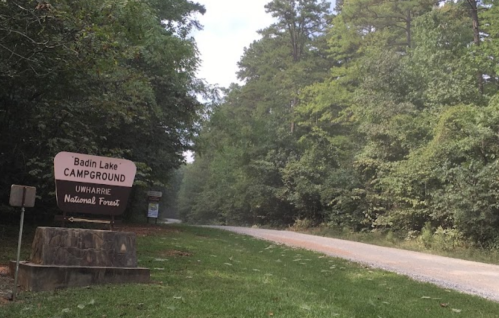 Sign for Badin Lake Campground in Uwharrie National Forest, surrounded by lush green trees along a gravel road.