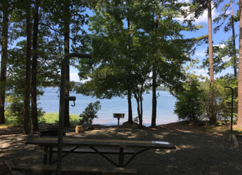 A serene lakeside view framed by trees, with a picnic table in the foreground and a grill nearby.