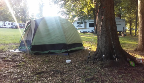 A green tent set up in a grassy area, with fishing rods leaning against a tree nearby and an RV in the background.