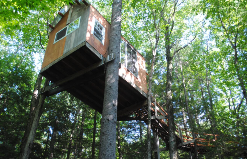 A treehouse elevated among green trees, featuring large windows and a wooden walkway connecting to the ground.