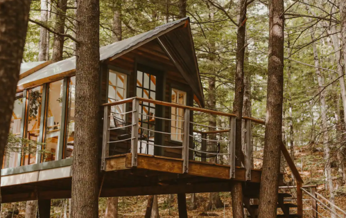 A cozy treehouse nestled among tall trees, featuring a wooden deck and large windows.