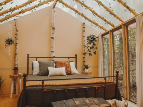 Cozy bedroom with a metal bed frame, warm decor, and large windows surrounded by greenery and natural light.