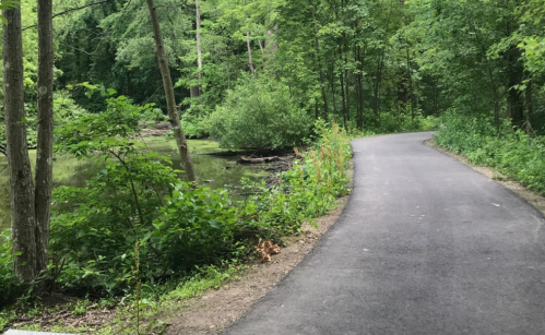 A winding path through lush greenery, alongside a serene pond surrounded by trees.