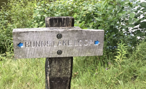 Wooden signpost indicating directions to "Bunns Lake Loop" with arrows pointing left and right, surrounded by greenery.