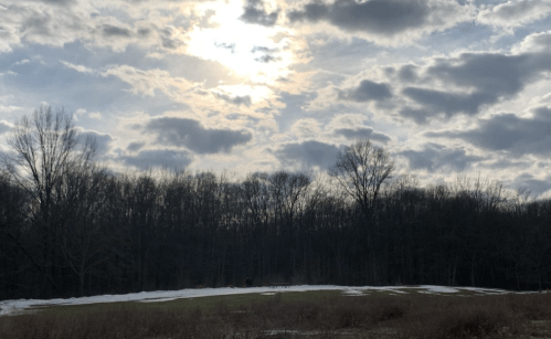 A cloudy sky with the sun peeking through, above a snowy landscape and bare trees in the background.