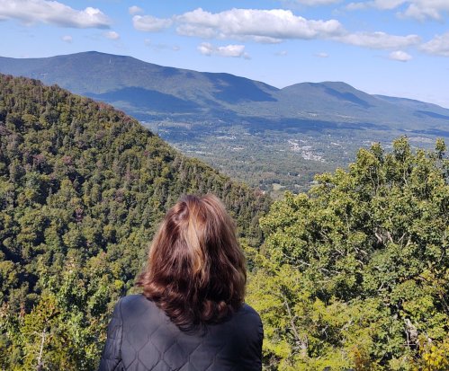 A person with brown hair stands overlooking a lush green valley and mountains under a blue sky with clouds.