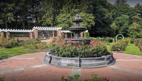 A decorative fountain surrounded by blooming roses in a lush garden setting.