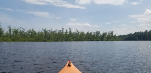View from the front of an orange kayak on a calm lake, with trees lining the shore under a blue sky.