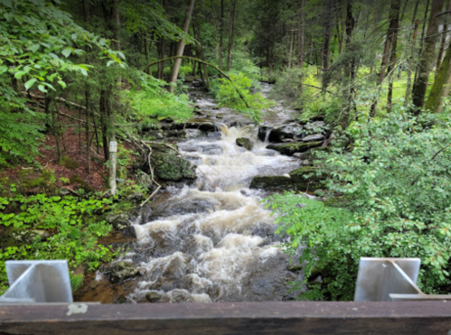 A flowing stream surrounded by lush green trees and rocks, viewed from a wooden bridge.