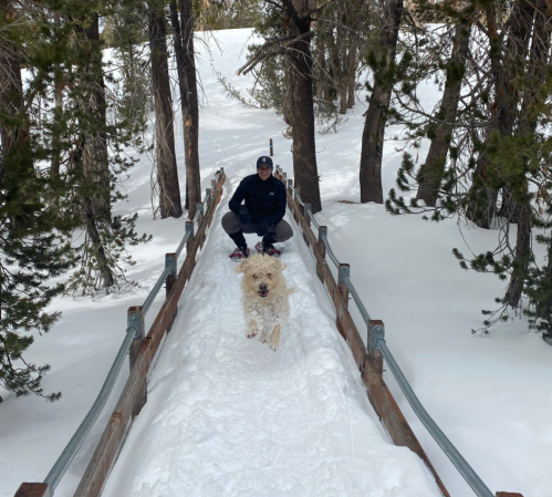 A person kneels on a snowy path in the woods, while a dog runs towards them. Trees surround the scene.