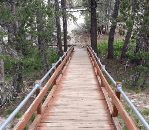 A wooden bridge leads through trees, with a path visible at the end, surrounded by greenery.