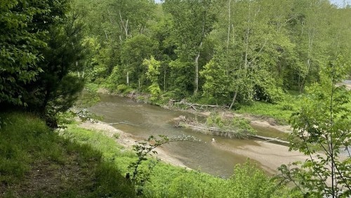 A serene river flows through a lush green landscape, surrounded by trees and vegetation.