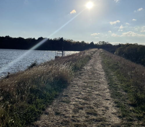 A sunlit path along a grassy embankment by a calm lake, with trees in the background and a clear blue sky.