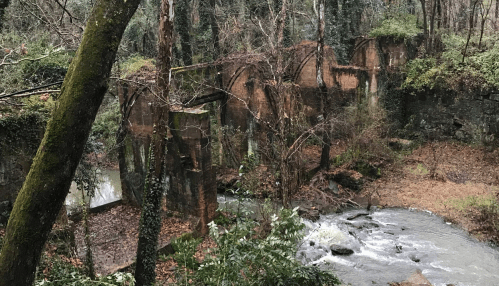 Ruins of a stone structure surrounded by trees and a flowing stream in a wooded area.
