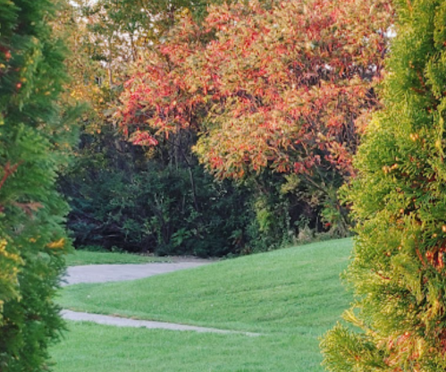 A serene landscape featuring green grass, a winding path, and a tree with vibrant red and orange leaves.