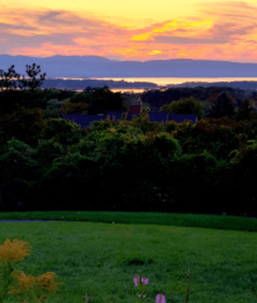 A vibrant sunset over a calm lake, with lush greenery in the foreground and distant mountains on the horizon.