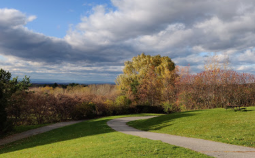 A winding path through a grassy area, surrounded by trees and a cloudy sky in the background.