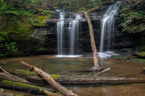 A serene waterfall cascades over rocks into a calm pool, surrounded by lush greenery and fallen logs.