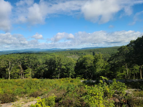 A panoramic view of lush green forests and rolling hills under a partly cloudy sky.