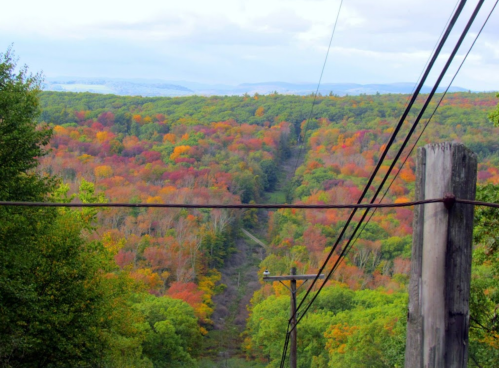 A vibrant autumn landscape with colorful trees and power lines stretching across the view.