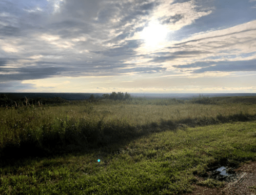 A serene landscape with tall grass under a cloudy sky, illuminated by soft sunlight in the distance.