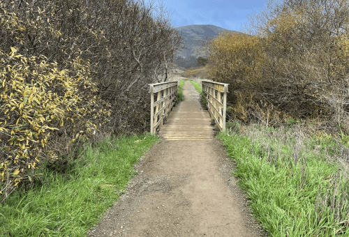 A wooden bridge spans a dirt path surrounded by greenery and trees, leading towards a distant mountain.