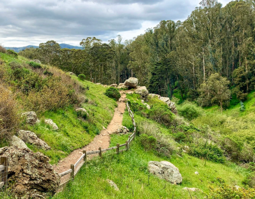 A winding dirt path through lush greenery and rocky terrain, surrounded by trees under a cloudy sky.