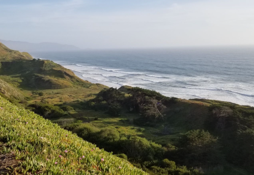 A scenic coastal view with rolling green hills and waves crashing on the shore under a clear sky.
