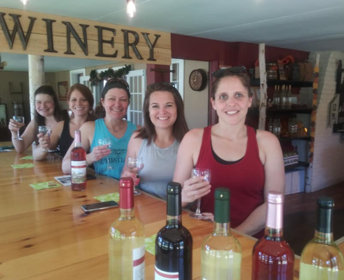 Five women smile while holding glasses of wine at a winery, with various bottles of wine displayed on the bar.