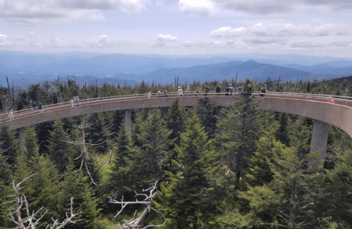 A curved walkway above a forest, with people walking and mountains visible in the background under a cloudy sky.