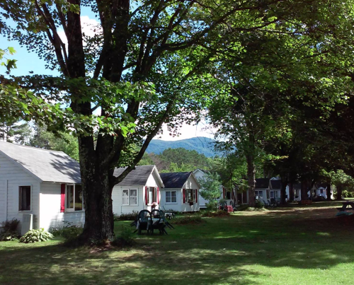 A row of quaint cottages surrounded by trees and mountains, with a grassy area in the foreground.