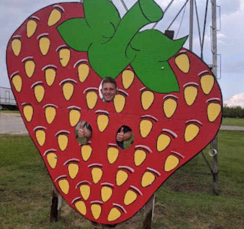 A person gives a thumbs up while peeking through a large strawberry-shaped cutout in a grassy field.