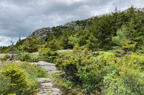 Lush green vegetation and rocky terrain under a cloudy sky, showcasing a mountainous landscape.